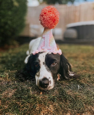 Open image in slideshow, PARTY PUPS || Crowns &amp; Hats
